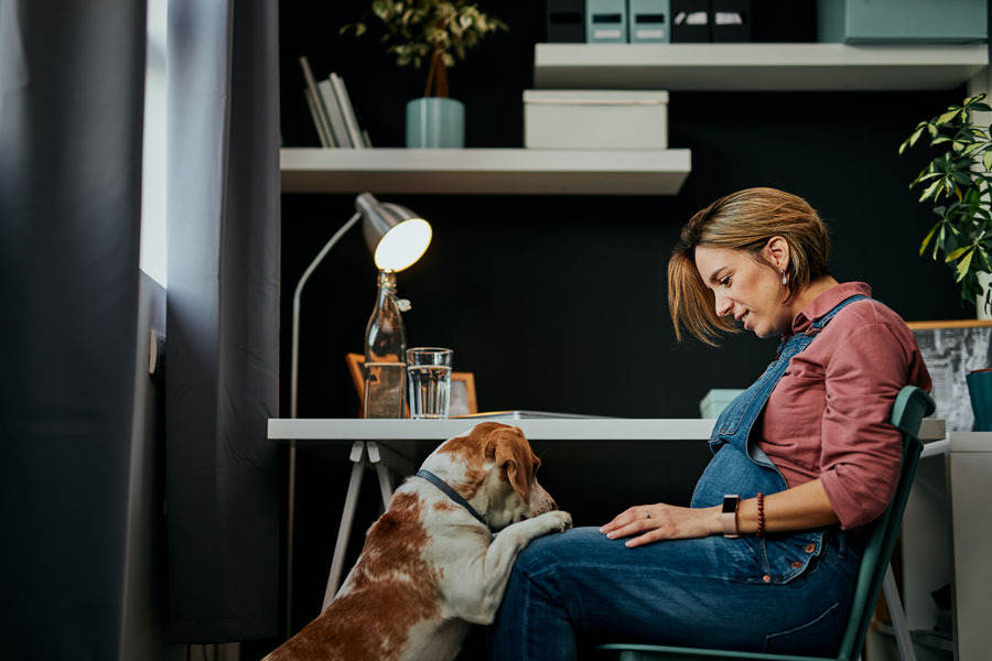 Ensaio gestante estúdio com PET's