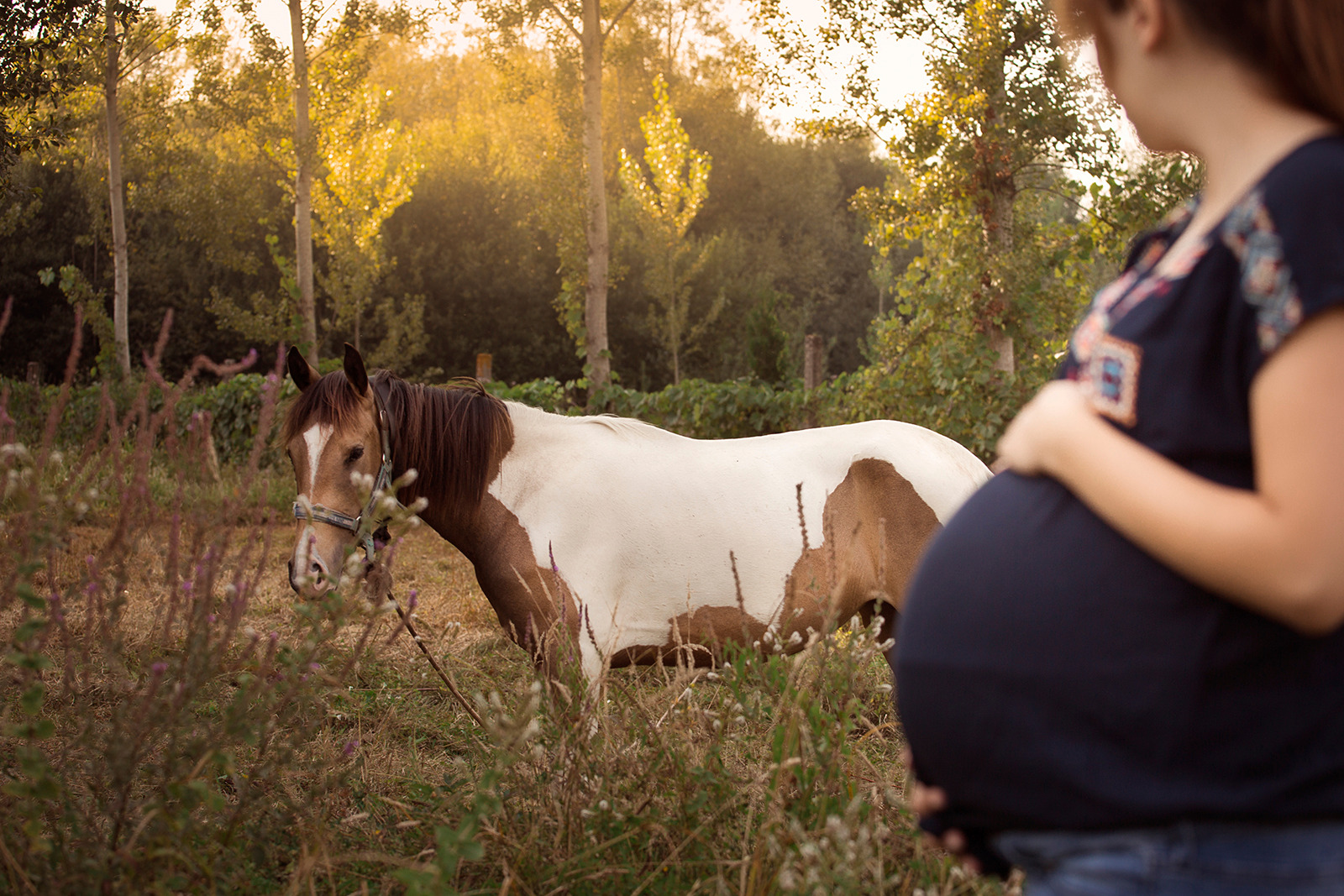 Sessão pré-mamã natureza
