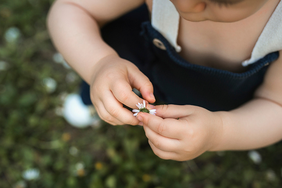 sessão de bebé na natureza
