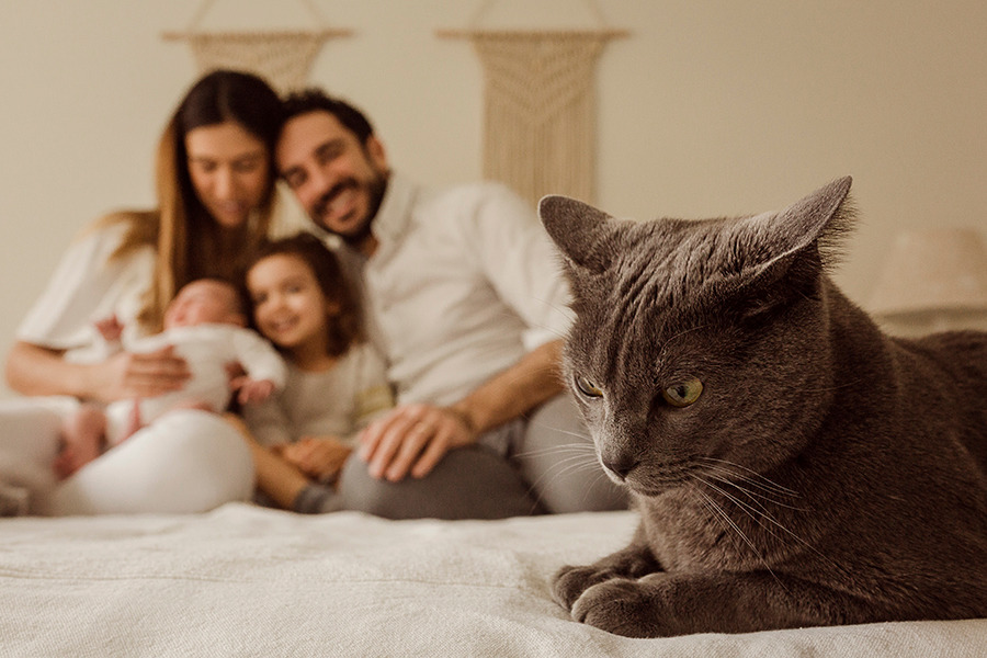 sessão família lifestyle