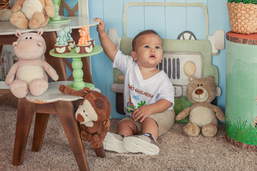 Josué Reis  -  Fotografo de festa infantil em Lins