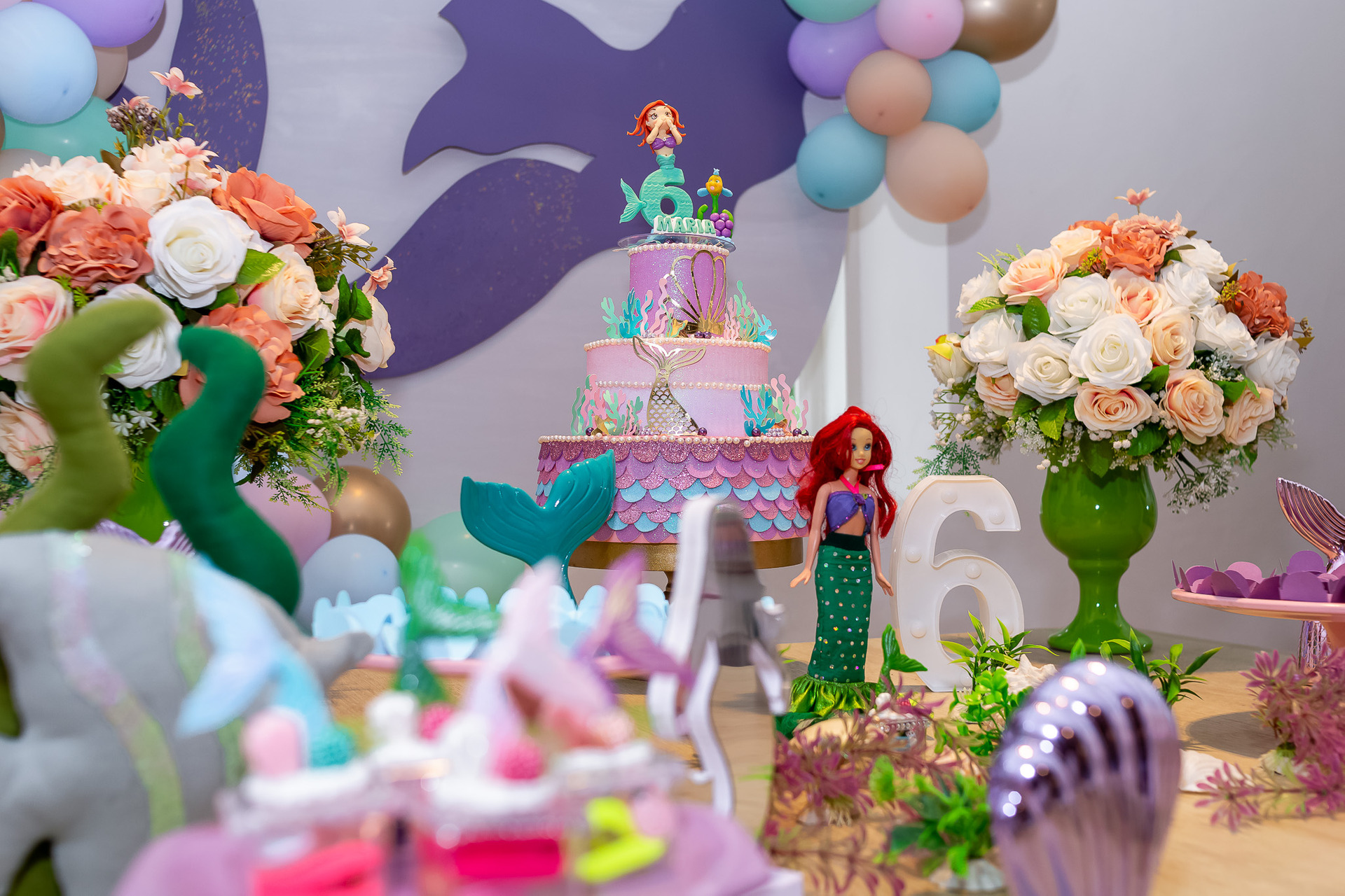 Festa de Aniversário em Caraguatatuba - Aniversário da Maria - 6 aninhos