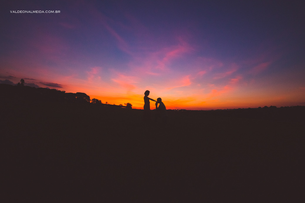 Fotografia de um Pedido de casamento surpresa no por do sol em Holambra