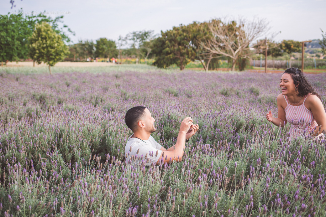 Pedido de casamento surpresa na plantação de lavanda do Parque Bloemen Park em Holambra