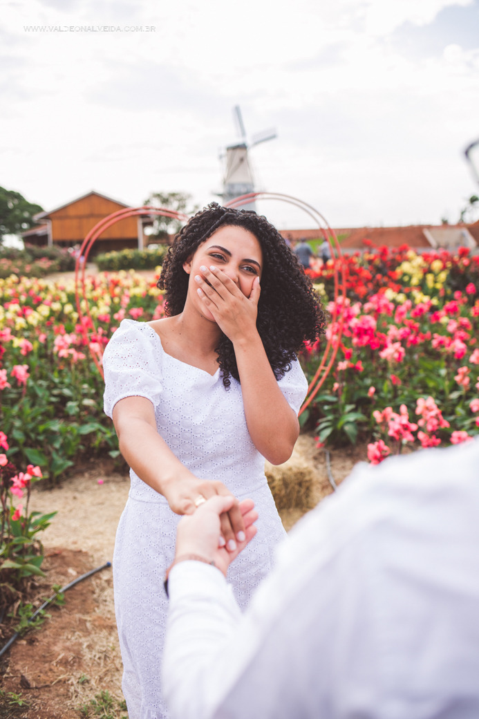 Pedido de casamento surpresa no Macena Flores em Holambra