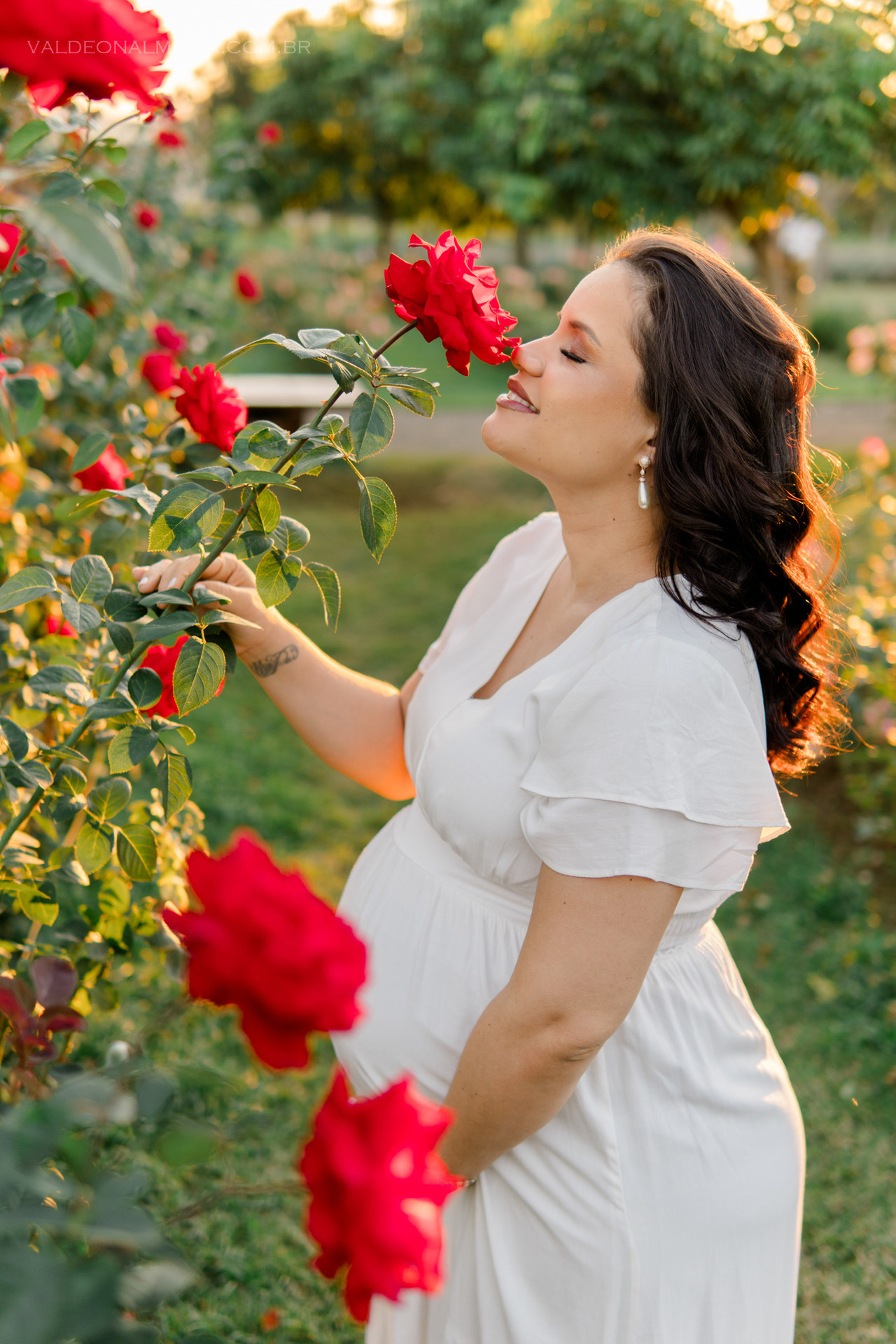 ensaio de gestante em uma plantação de rosas em Holambra