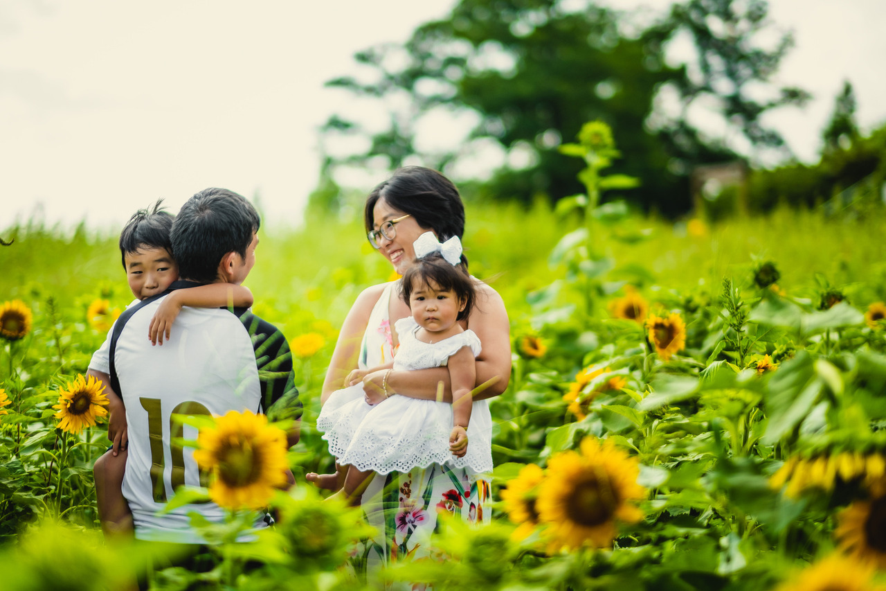 ensaio familiar nos campos de girassois, ensaio diferente no japao, ensaio fotografico no japao, fotografo de familia no japao, fotografo no japao