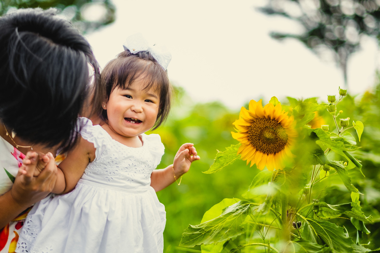 ensaio mae e filha no japao, ensaio fotografico no japao, fotografo de familia no japao, fotografo no japao, ensaio nos campos de girassois no japao