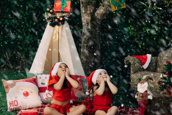 Ensaio de Natal - Ensaio de Natal em Mogi das Cruzes SP - Mogi das Cruzes -  SP