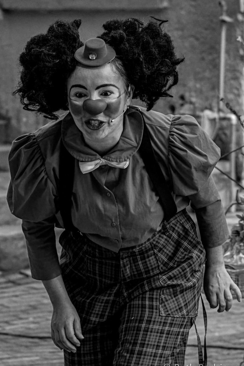 Malagueta - Paula Bittencourt