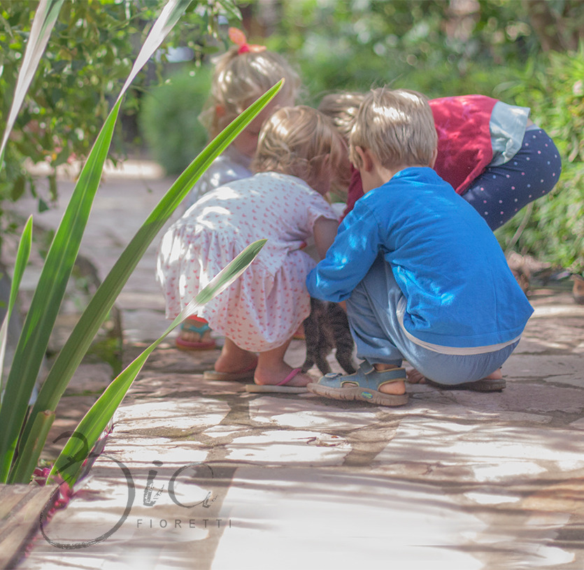 crianças de 3 anos brincando com gato