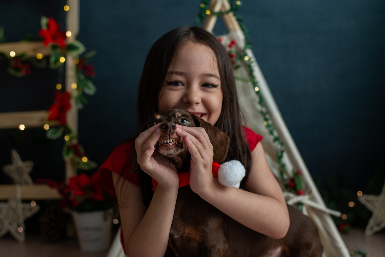 sessao fotografica natal com cachorro estudio sp