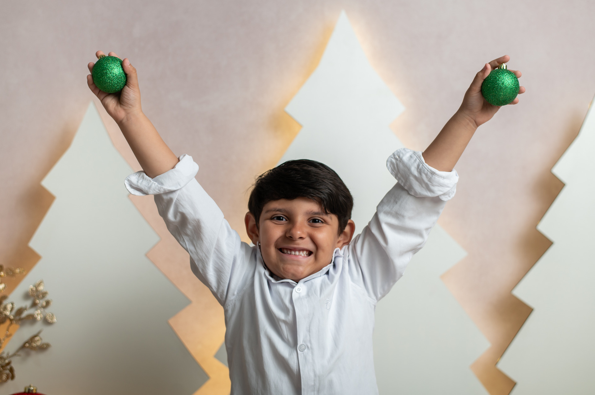 Ensaio de Natal e Ano Novo SP