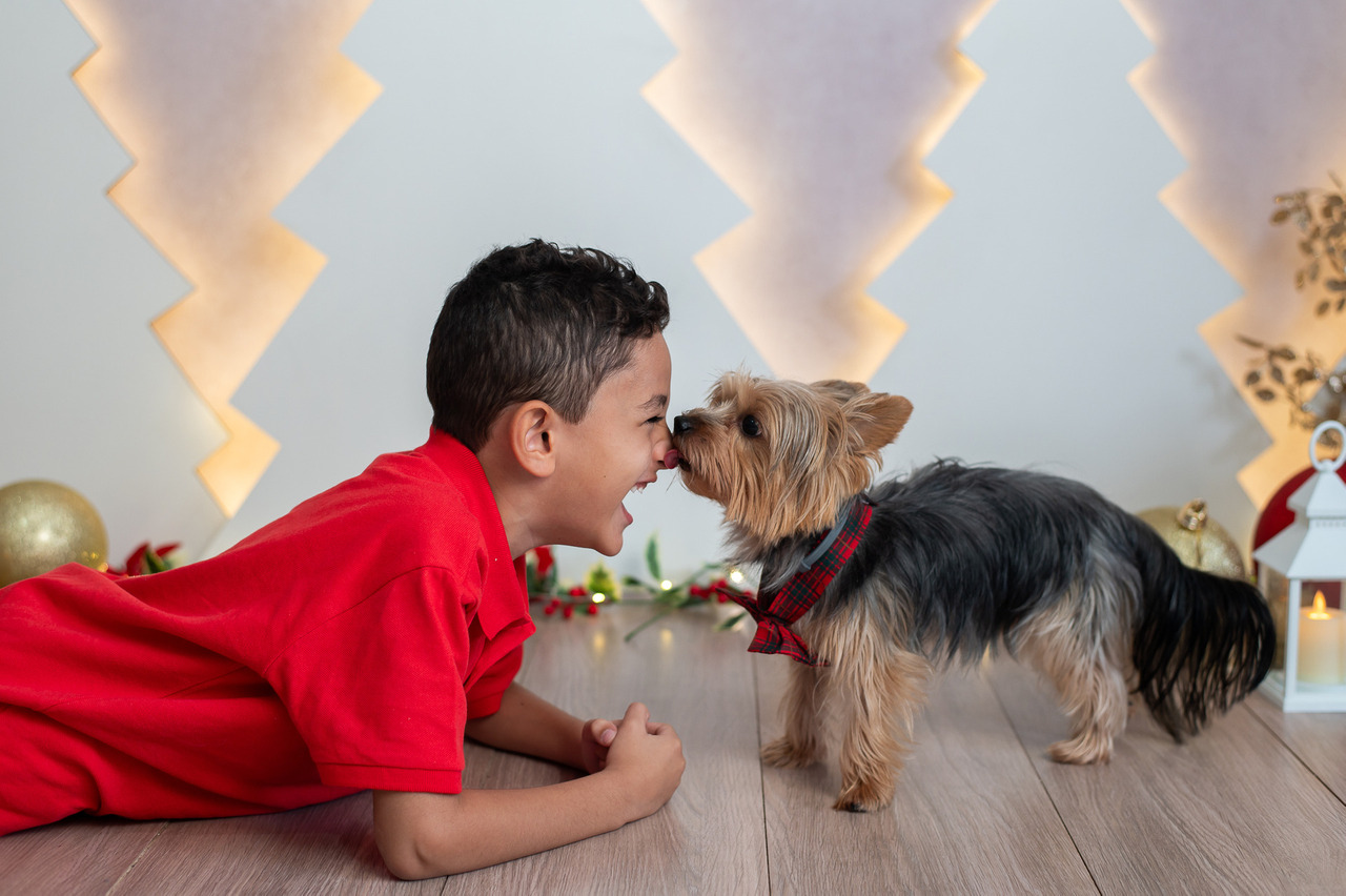 Ensaio Fotográfico Natal com Cachorro SP