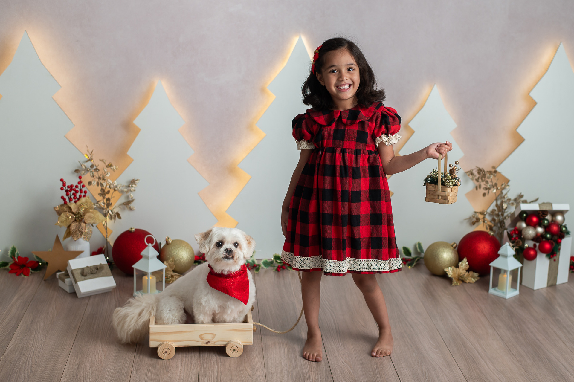 Ensaio Natal Estúdio Zona Sul SP