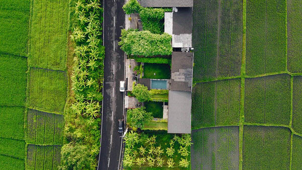 Aluguel drones na agricultura