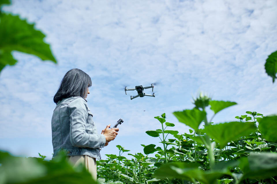 Drones na agricultura de precisão