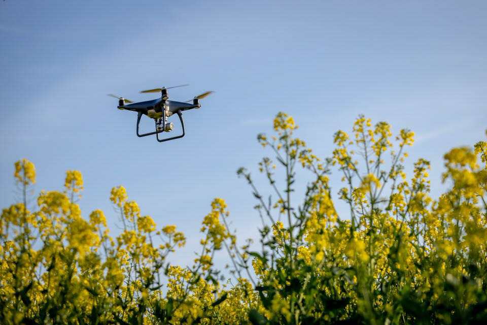 Foto com drone na agricultura