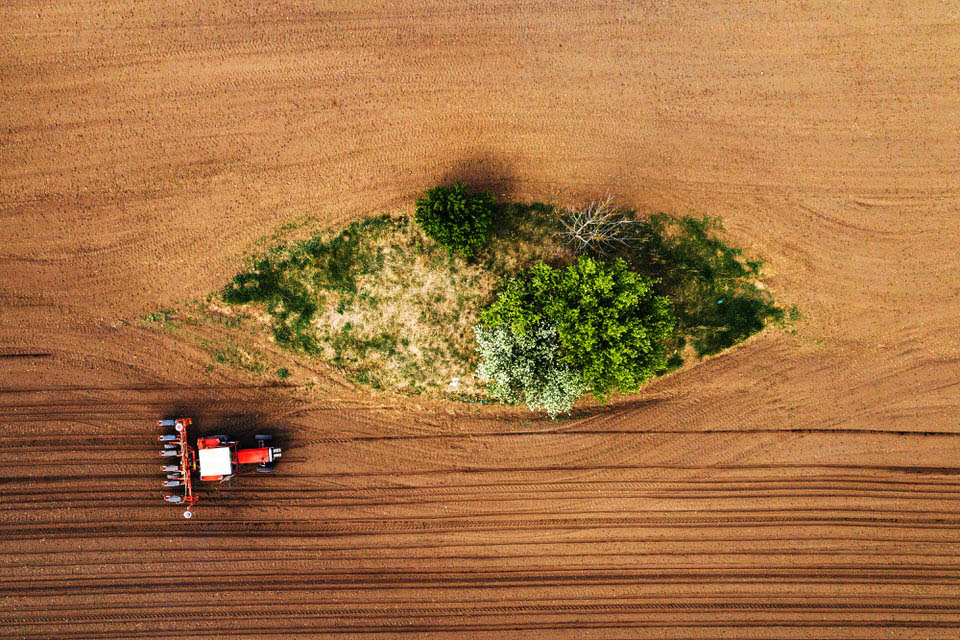 Serviços com drone na agricultura