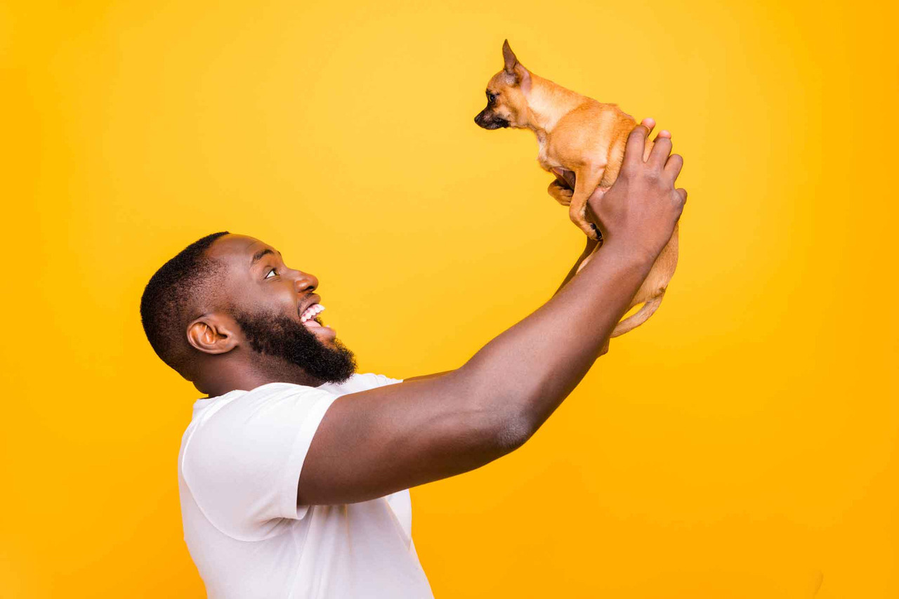 Fotos para perfil - Veterinário