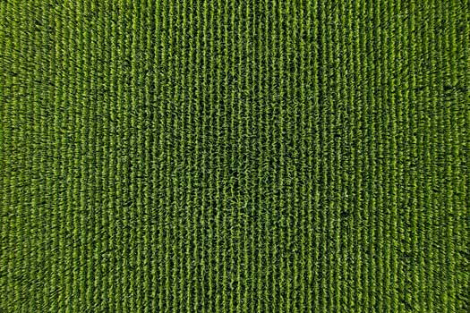 Mapeamento com drone para o agronegócio em São Paulo SP