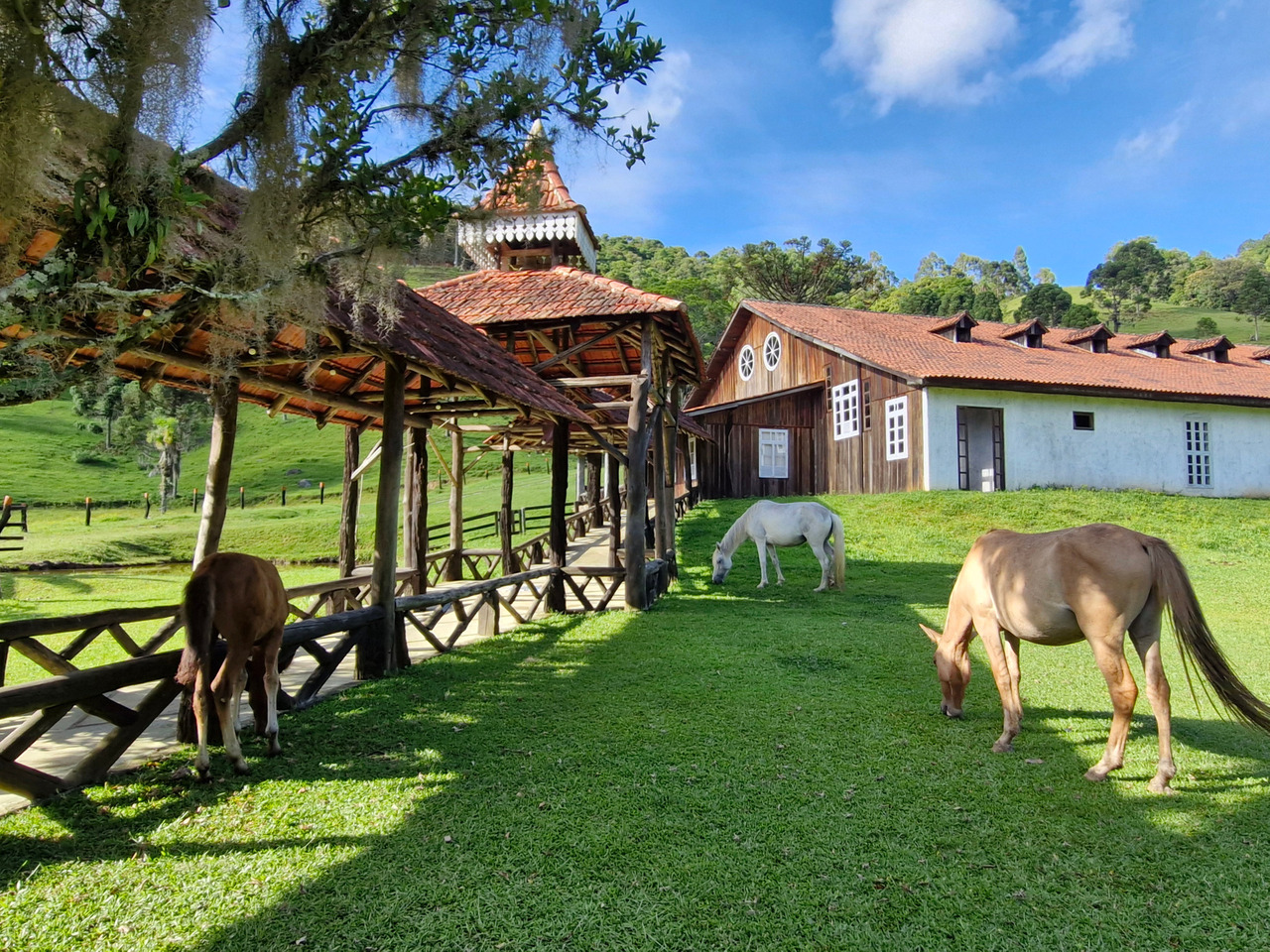 turismo rural em anitapolis, simplicidade do campo, Acolhida na colonia, Cavalos em Anitápolis
