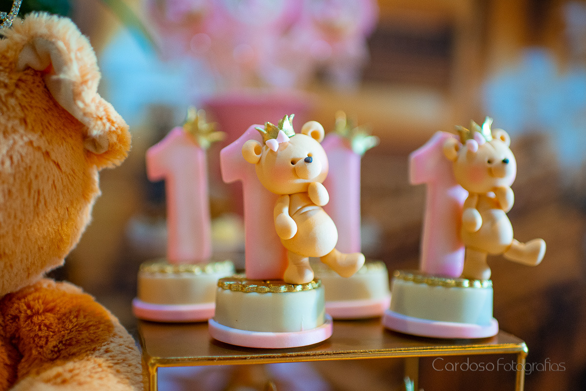 fotógrafo blumenau Cardoso Fotografias estúdio fotográfico indaial e blumenau