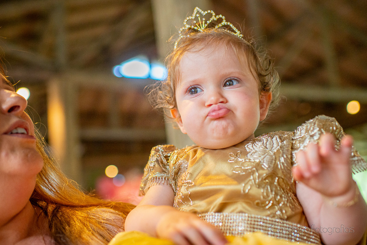 aniversário menina blumenau tema princesa