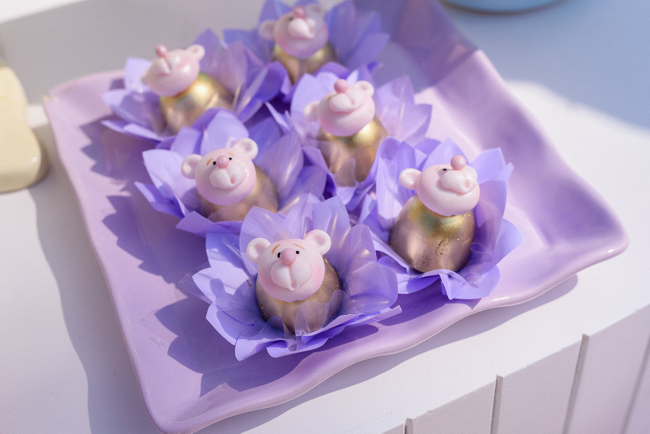 fotografo infantil campina Royal Palm Plaza