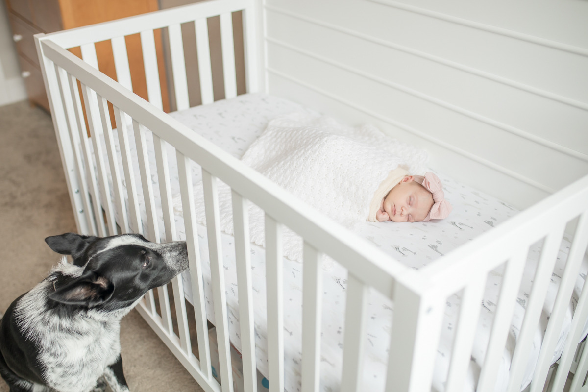 Orlando Lifestyle Newborn Photography