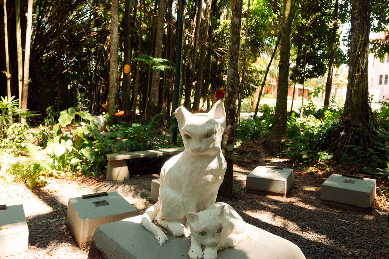 fotografia Blumenau, locais turísticos, melhores pontos turísticos, locais para fotografar, fotografia ao ar livre, Blumenau, ensaio fotos, Cemitério dos Gatos, Edith Gaerthner, Patrimônio histórico