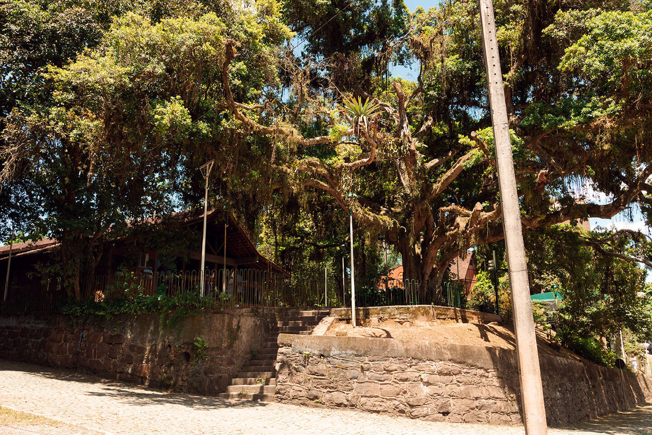 fotógrafo, fotografia Blumenau, locais turísticos, melhores pontos turísticos, Blumenau, ensaio fotos, Praça Hercílio Luz, patrimônio histórico de Blumenau, locais para fotografar Blumenau, Fotografia ao ar livre