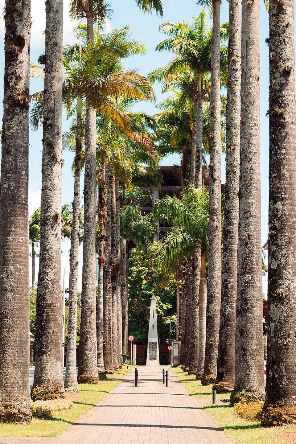 fotógrafo, fotografia Blumenau, locais turísticos, melhores pontos turísticos, Blumenau, fotos, Rua das palmeiras, Alameda Brüstlein , patrimônio histórico