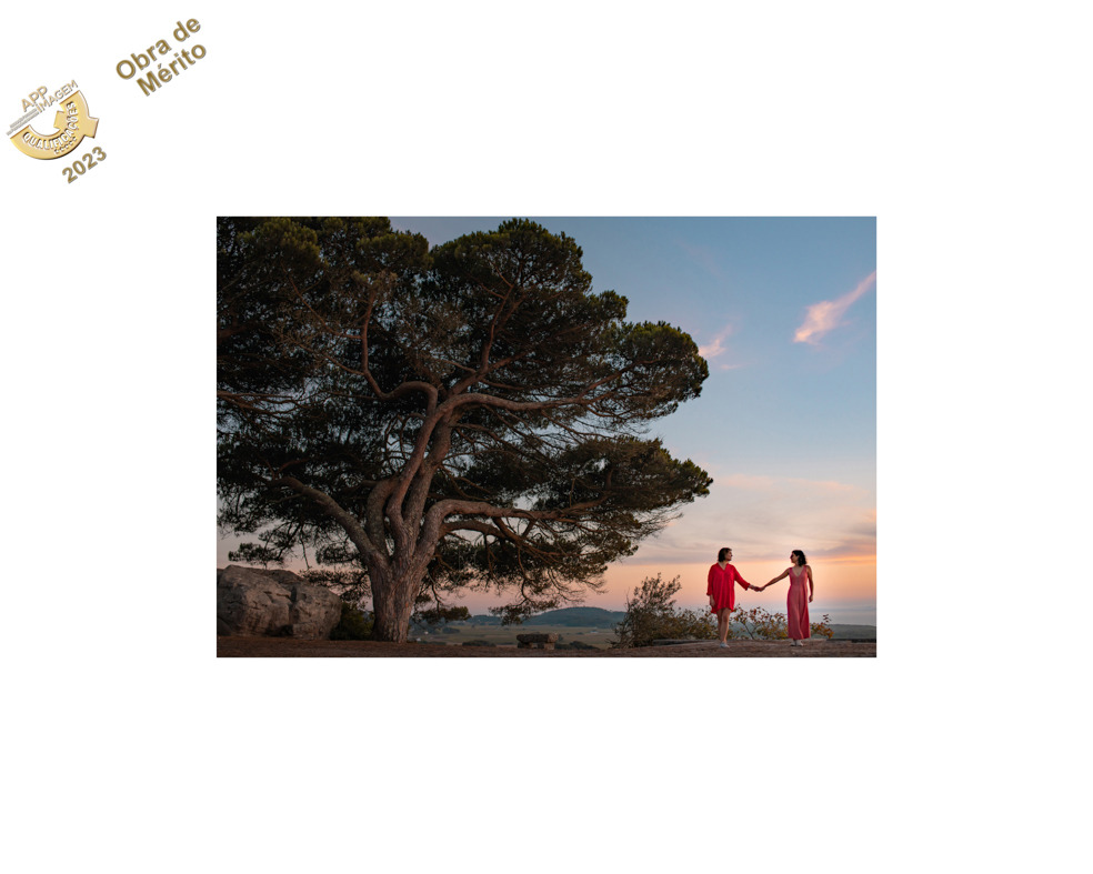 fotografia da Obra de Mérito na Categoria Solteiros de 2023