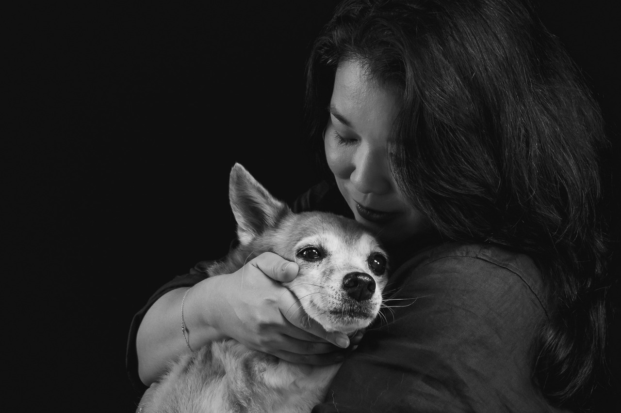 ensaio para todo sempre, fotografia pet emocional, ensaio fotográfico pet São Paulo, fotógrafo pet São Paulo, fotos com pets, ensaio pet profissional