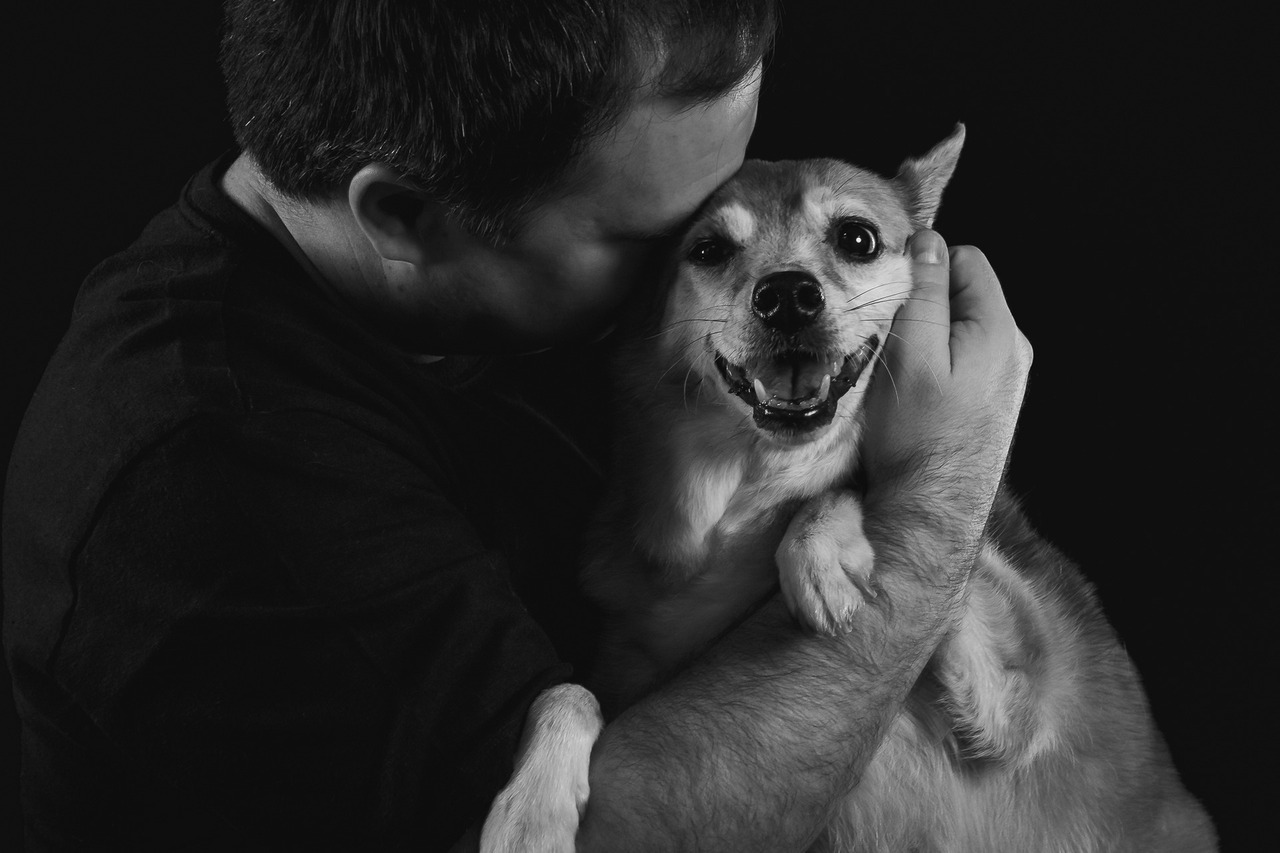 ensaio para todo sempre, fotografia pet emocional, ensaio fotográfico pet São Paulo, fotógrafo pet São Paulo, fotos com pets, ensaio pet profissional