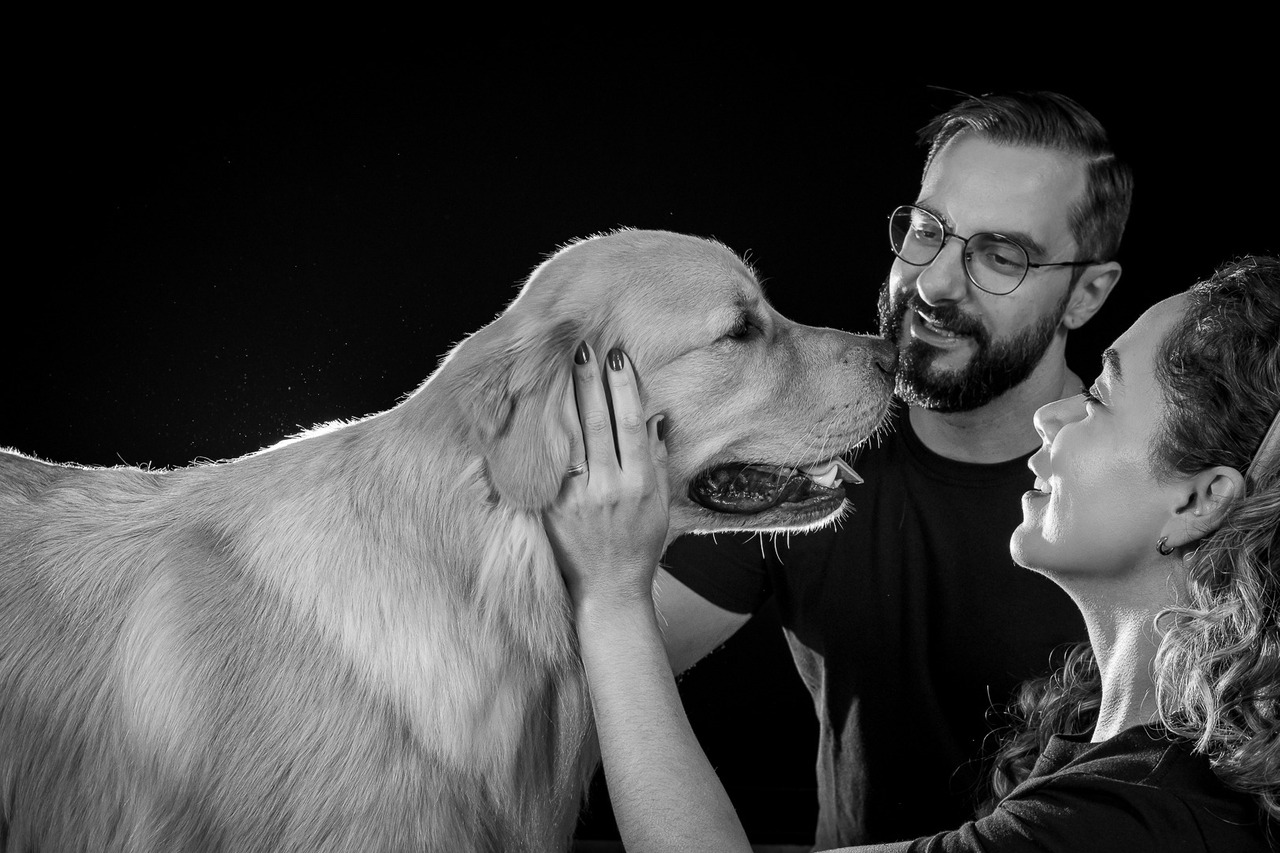 ensaio para todo sempre, fotografia pet emocional, ensaio fotográfico pet São Paulo, fotógrafo pet São Paulo, fotos com pets, ensaio pet profissional