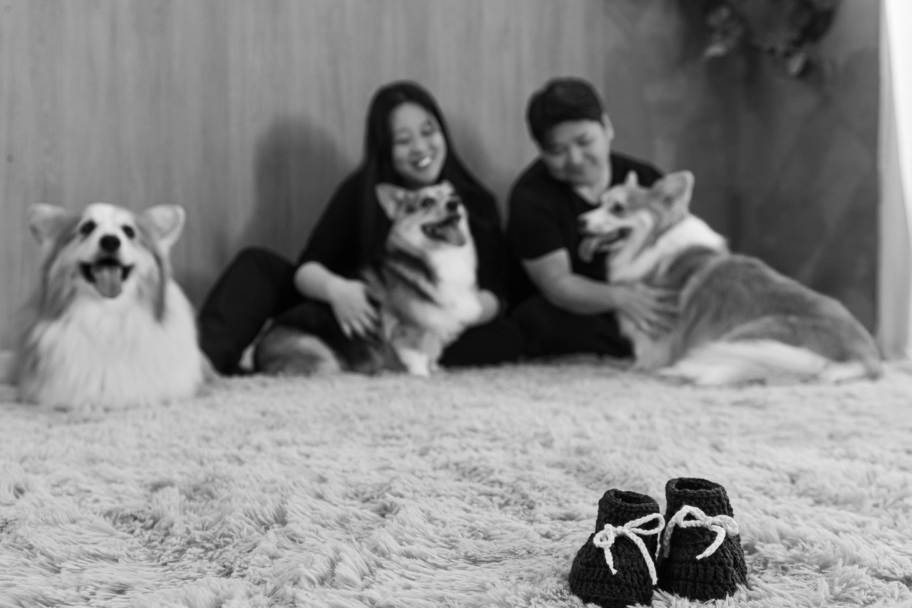 ensaio para todo sempre, fotografia pet emocional, ensaio fotográfico pet São Paulo, fotógrafo pet São Paulo, fotos com pets, ensaio pet profissional
