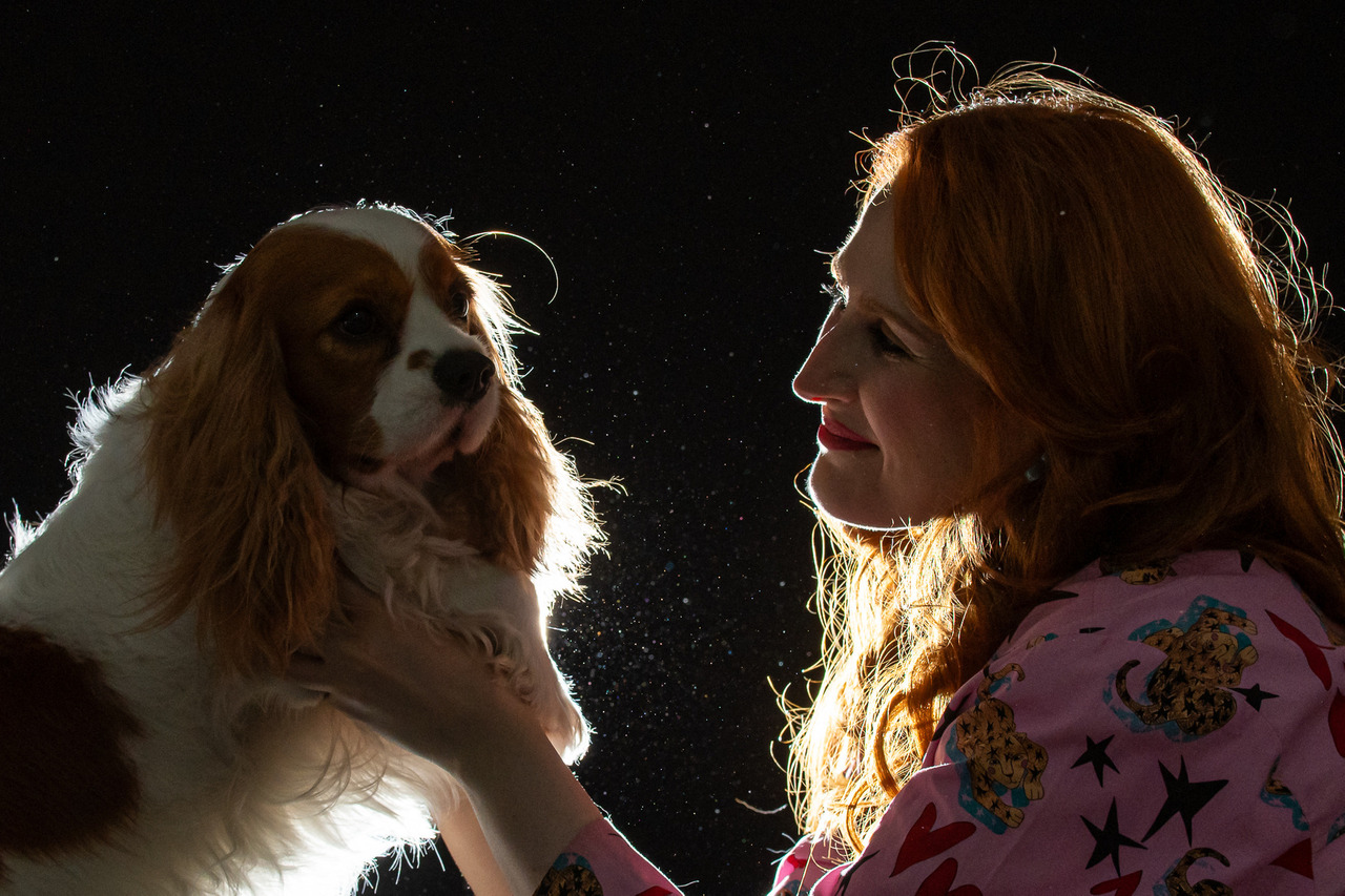 cachorro olhando para tutora durante ensaio fotográfico pet dia das mães