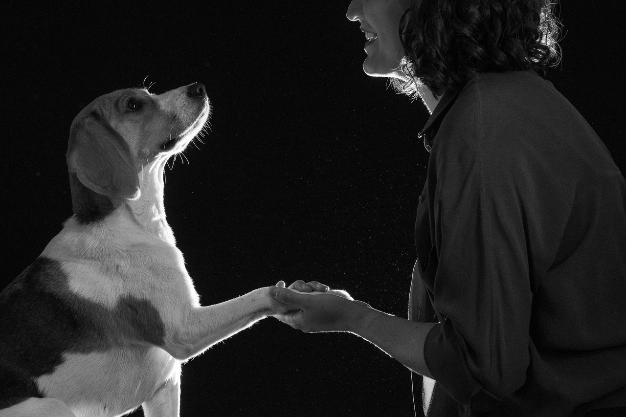 momento de carinho entre mãe e cachorro em ensaio pet profissional