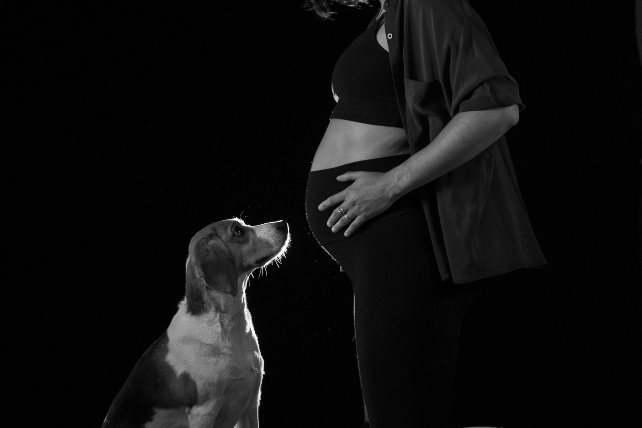 mãos da tutora segurando a patinha do cachorro em ensaio pet