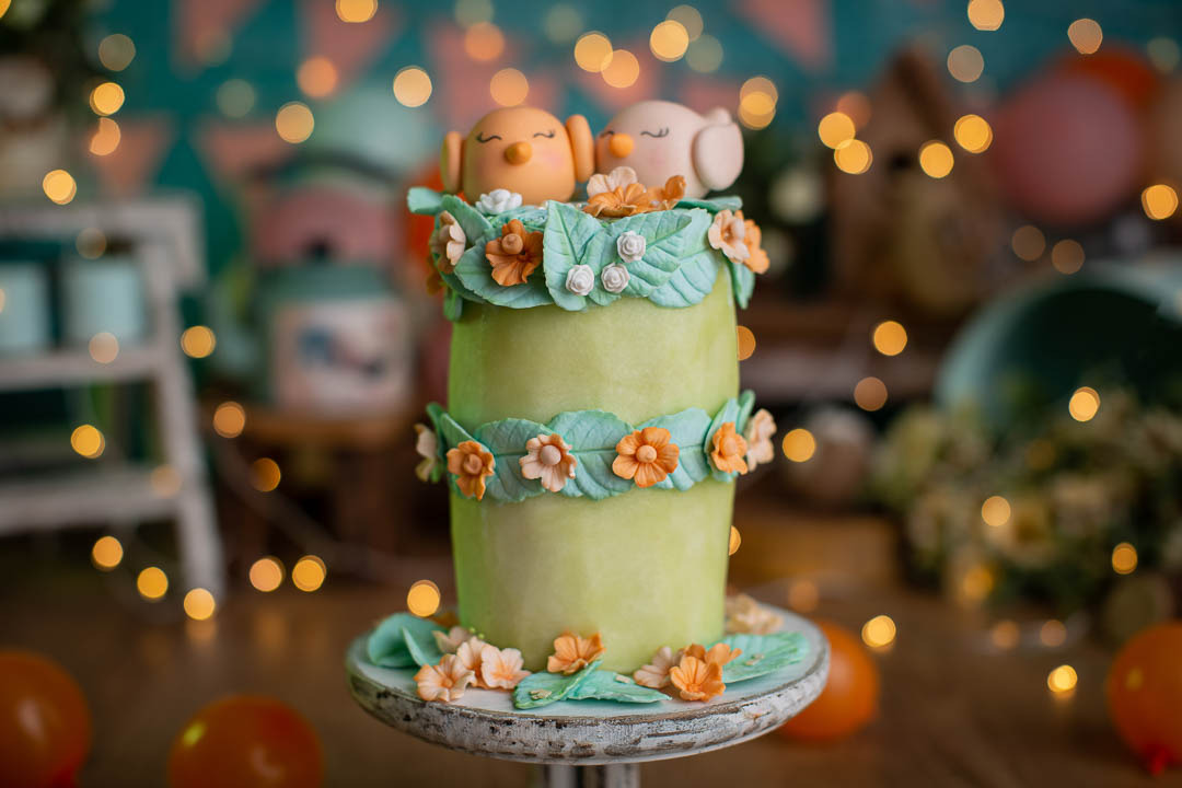 bolo de aniversário feito de melao para ensaio smash the fruit com passaros e flores de aplique de biscuit em um cenario fotografico 