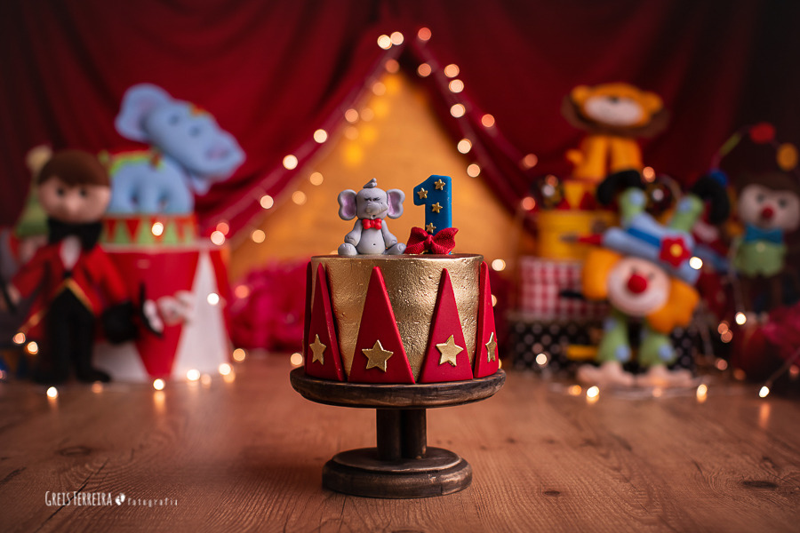ensaio de bebê bolo smash the cake circo