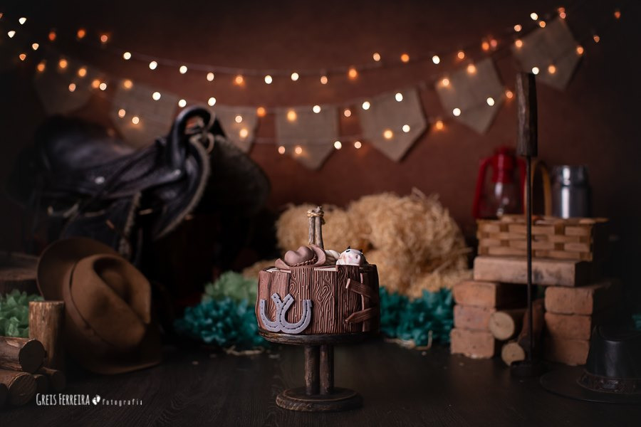 ensaio fazendinha cela feno chapéu cowboy bolo de aniversario