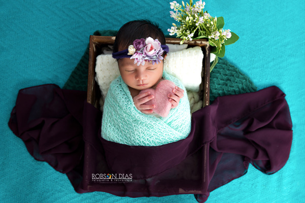 Robson Dias Fotografia - Newborn da Valentina com 16 dias no Embu-SP