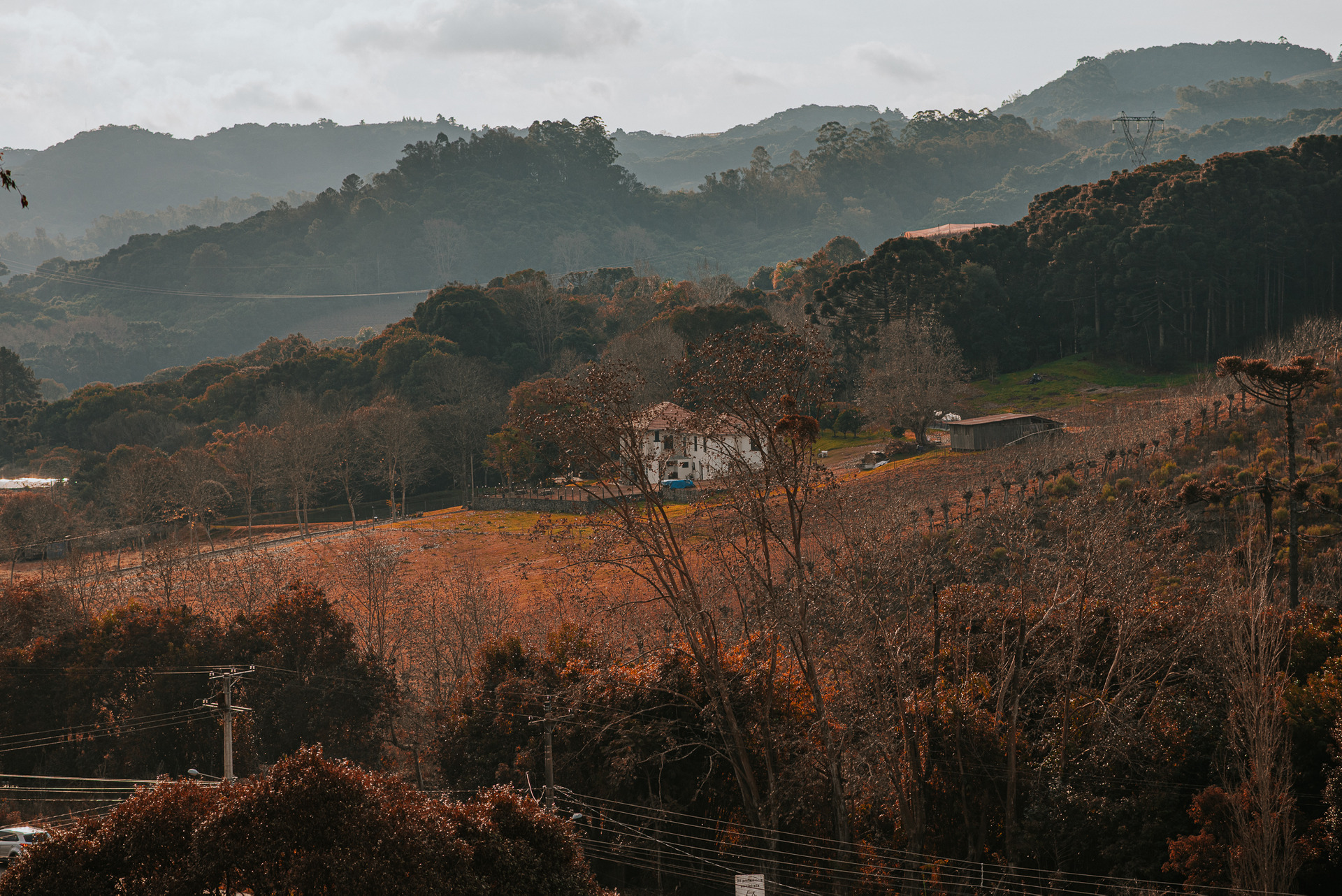 Fotografia newborn na Serra Gaúcha Fotógrafo profissional em Bento Gonçalves Ensaio fotográfico ao ar livre na Serra Gaúcha