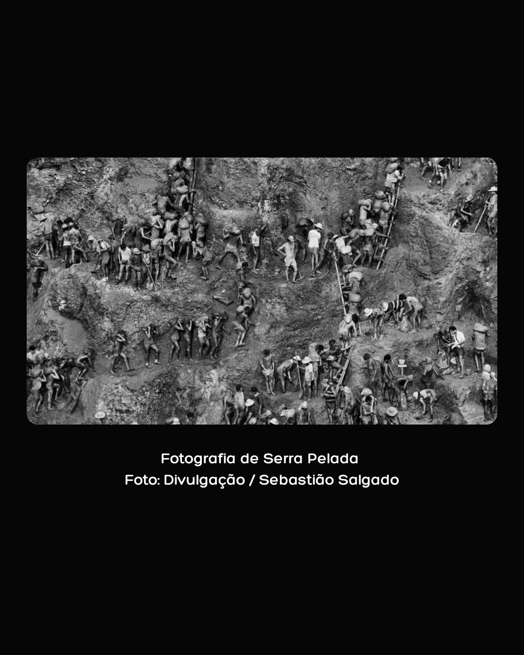 “Imagem histórica da mina de ouro de Serra Pelada por Sebastião Salgado, mostrando dezenas de garimpeiros em ação em um paredão de terra, representando trabalho braçal e desigualdade social.”