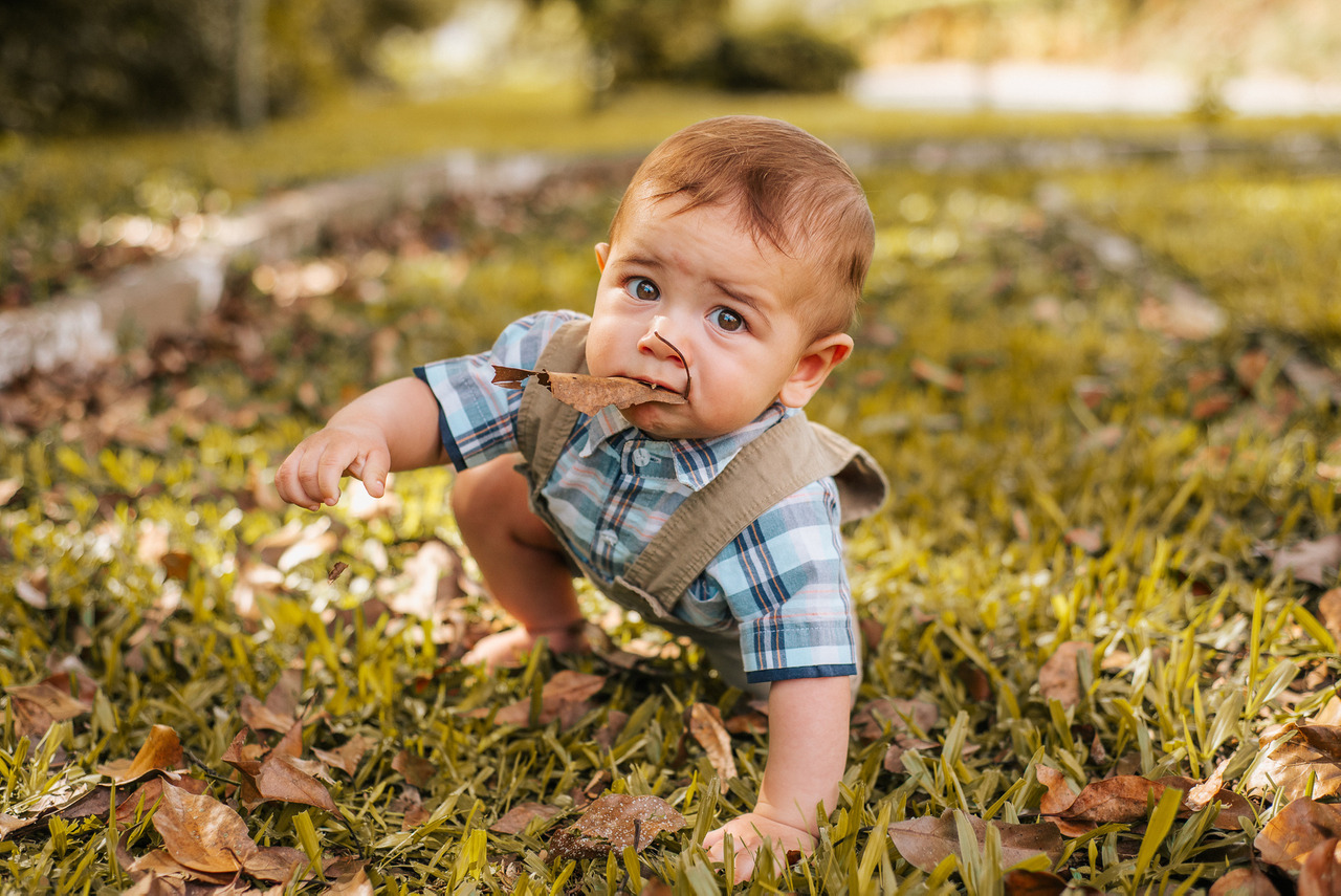Bebê engatinhando na grama em um registro familiar ao ar livre, em guia da fotógrafa Aline Fontes para mães sobre fotos dos filhos nas redes sociais e compartilhamento consciente da infância.