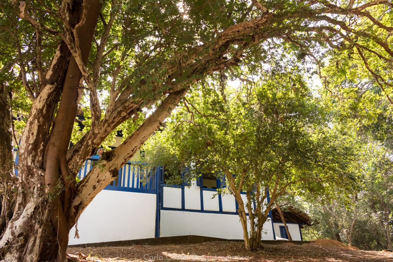 Fazenda Samambaia — um refúgio encantador no Parque Estadual do Sumidouro - Lagoa Santa /MG - Carla Costa Fotografia
