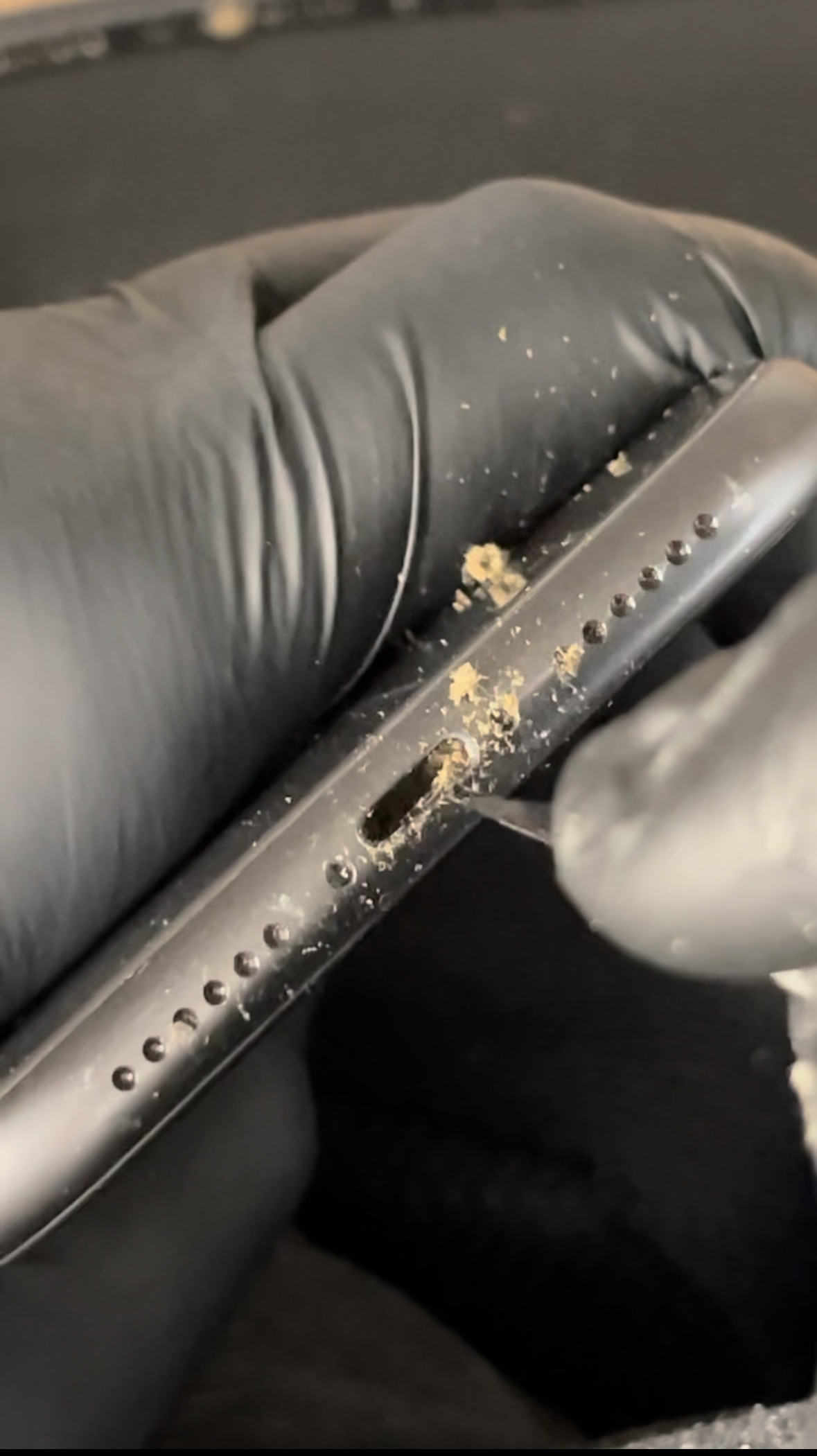 Higienização Completa